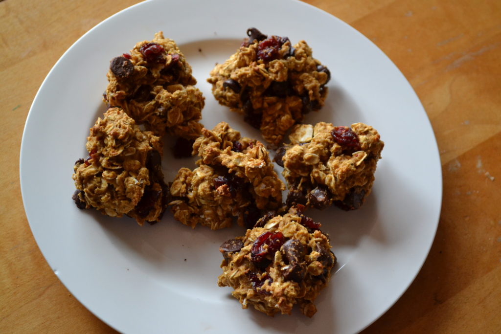 cranberry chocolate chip oatmeal cookies